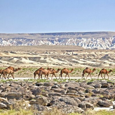 Kirghizistan: voyage au pays des chevaux célestes